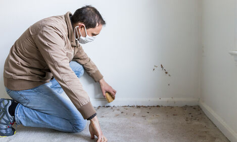 How Damp and Mould Can Affect Your Health