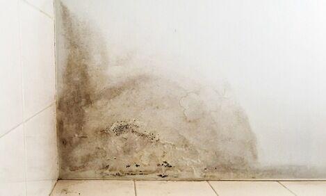 Damp and Mould In The Home Q & A