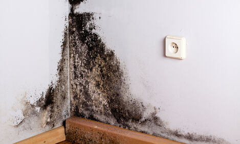 Damp & Mould Can Affect Both General And Mental Health