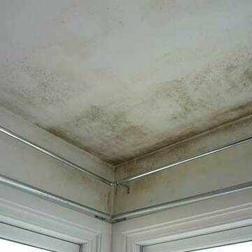 mouldy-ceiling