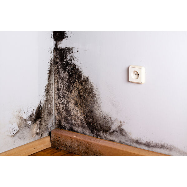 Black,Mold,In,The,Corner,Of,Room,Wall